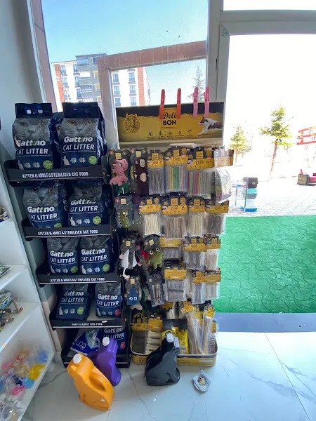ŞIK PATİ KUAFÖRÜ VE PET SHOP foto 2