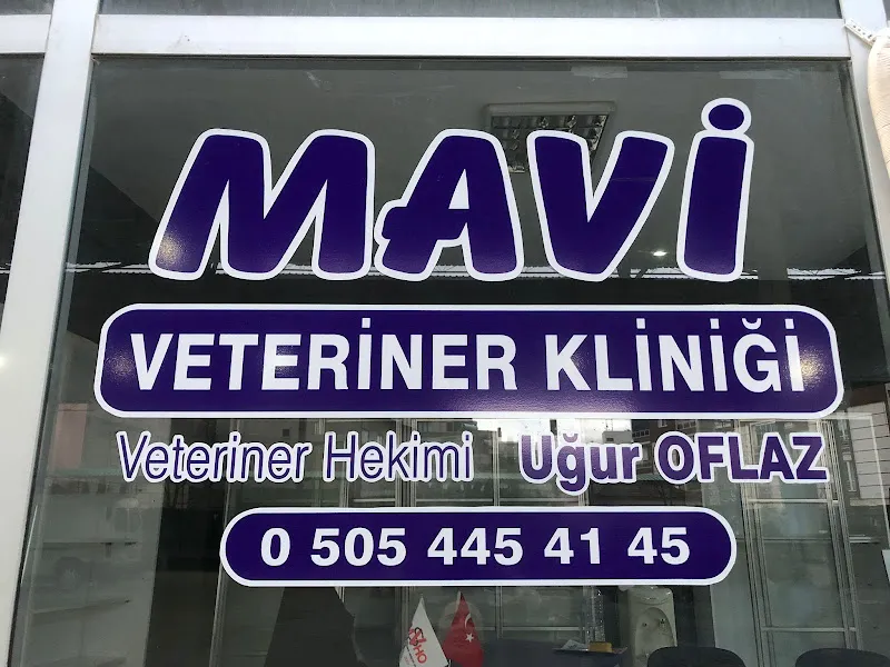 Mavi Veteriner Kliniği foto 1