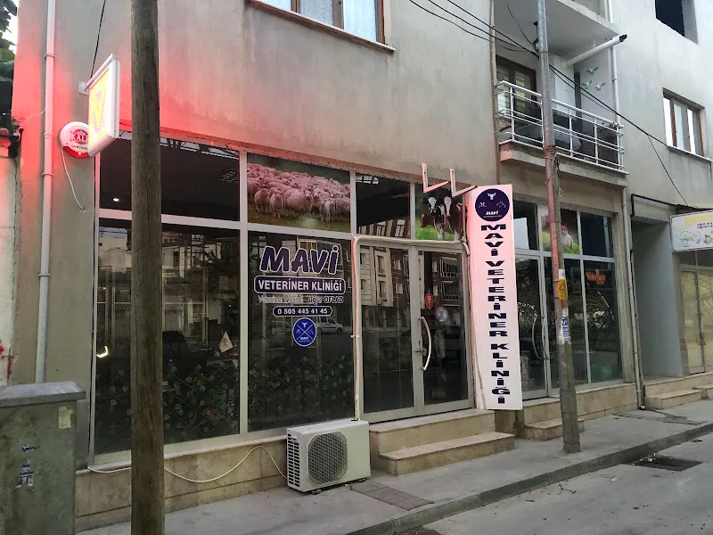 Mavi Veteriner Kliniği foto 2