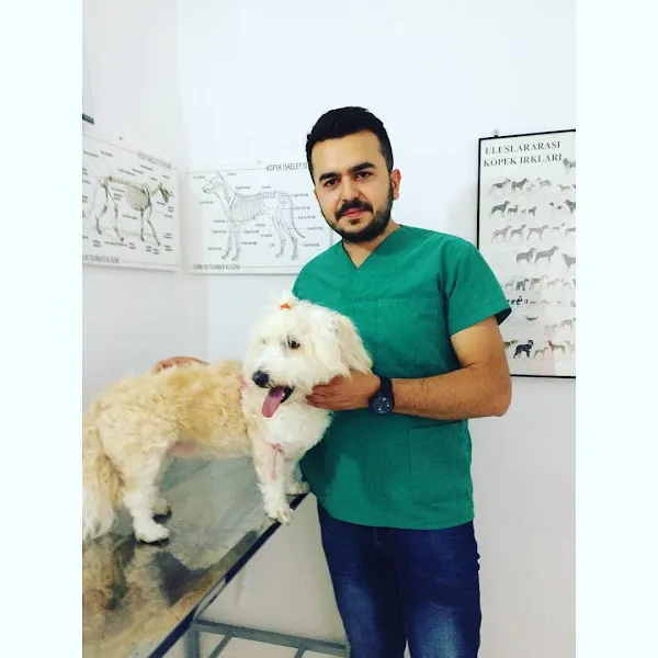 ÇAYCUMA VETERİNER KLİNİĞİ TÜRKVET VETERİNERLİK foto 2