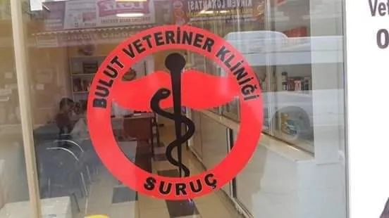 Doğu veteriner klinigi/oğuzeli/gaziantep vet.hek.mehmet bulut foto 2
