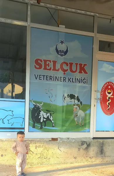 Selçuk veteriner kliniği foto 2