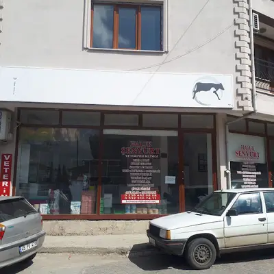 Veteriner Murat