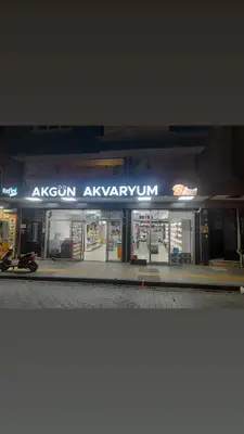 Akvaryum Dünyasi