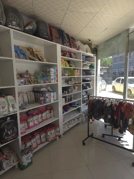 PULAT VETERİNER KLİNİĞİ foto 2