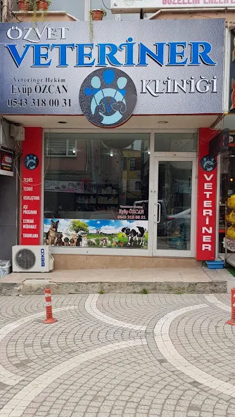 YILDIZ PETSHOP (MURAT YILDIZ) foto 2