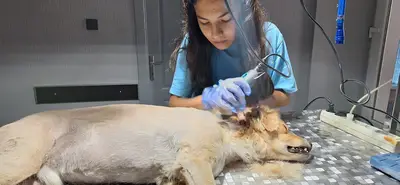 Cappavet Veteriner Kliniği