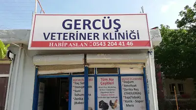 Gercüş veteriner kliniği