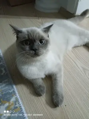 Arıaslan Veteriner Kliniği