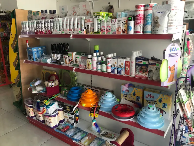 sevimli patiler petshop foto 2