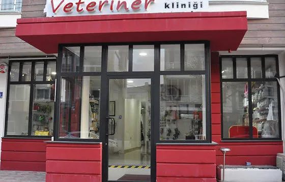 Sultangazi veteriner kliniği foto 1