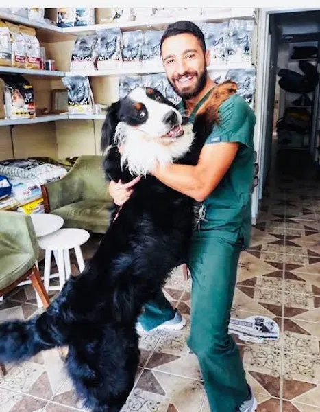 Sultangazi veteriner kliniği foto 2