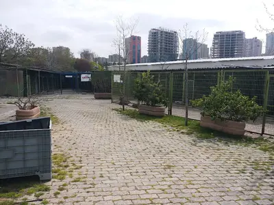 Kadıköy Belediyesi Hayvan Barınağı