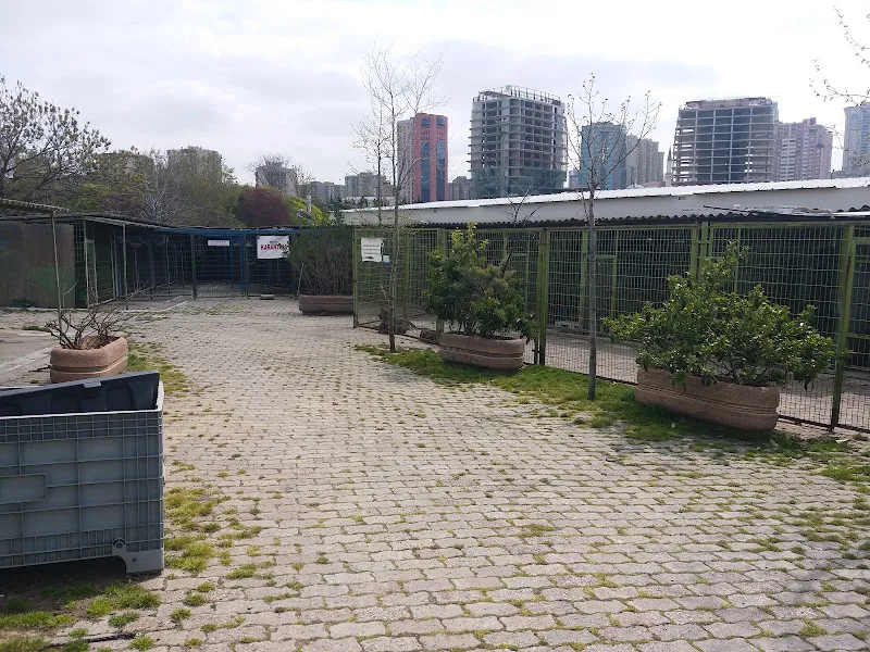 Kadıköy Belediyesi Hayvan Barınağı foto 1