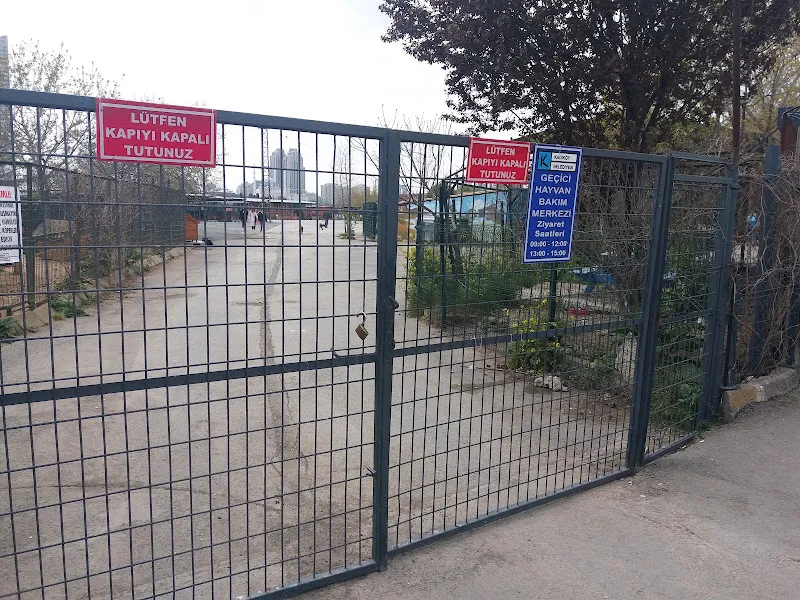 Kadıköy Belediyesi Hayvan Barınağı foto 2