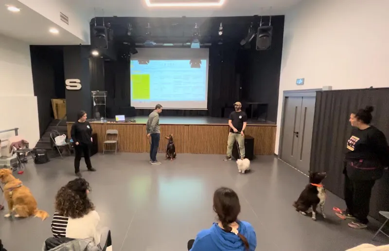 Pozitif Köpek Eğitmenleri Akademisi foto 2