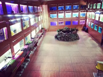 Amazon Pet Shop