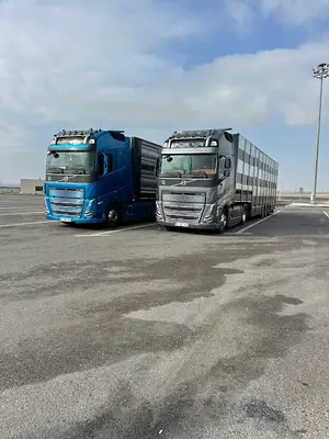 KAYA CANLI HAYVAN TAŞIMA fotoğrafı
