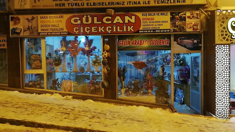 Ayçiçek Veteriner Kliniği foto 2