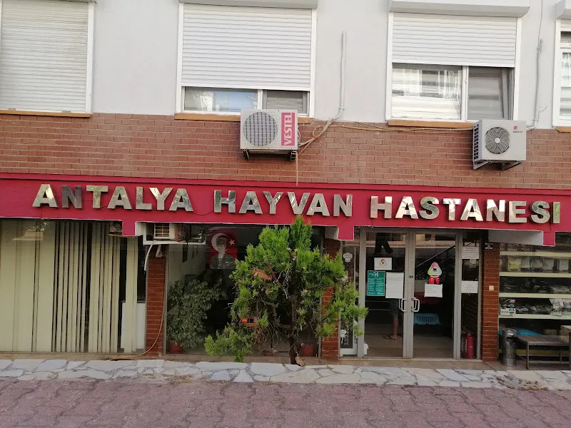 Antalya Hayvan Hastanesi foto 1