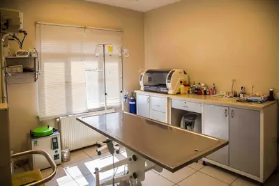 Green Pet Veteriner Polikliniği