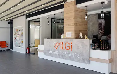 İlgi Hayvan Hastanesi