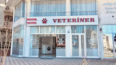 ÇELİK PATİ VETERİNER KLİNİĞİ