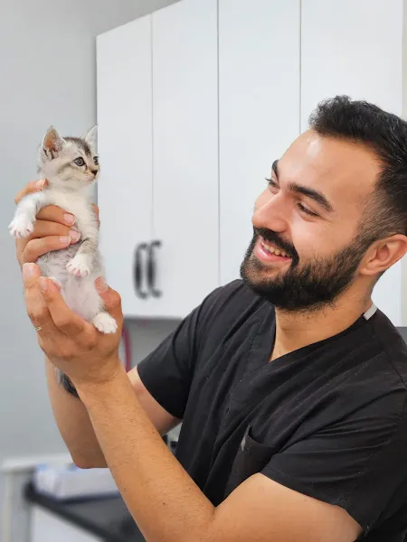 Petricor Veteriner Kliniği - Beylikdüzü Veteriner foto 1