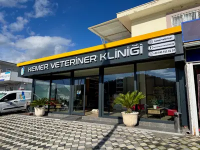 Kemer Veteriner Kliniği