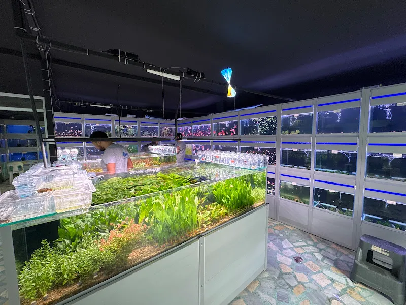 Atakan Petshop foto 2