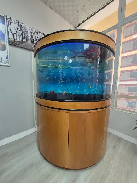 Cikletist Akvaryum Petshop foto 2