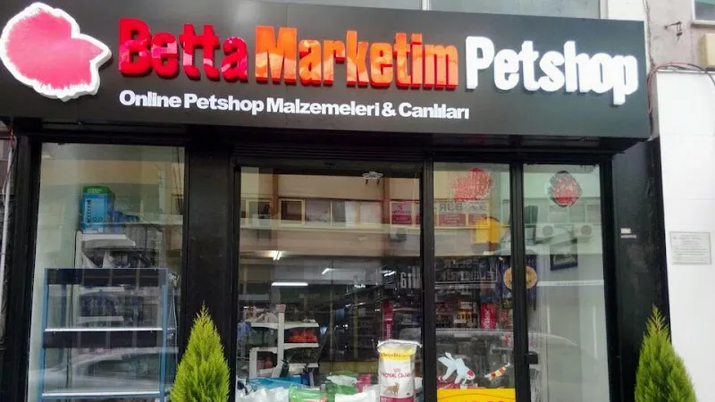 Betta Marketim Petshop foto 1
