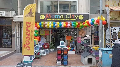 Mamacity Pet Market