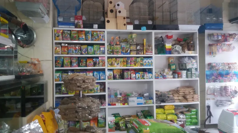 Deniz akvaryum petshop foto 2