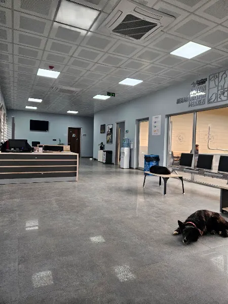 Beykoz Belediyesi Hayvan Rehabilitasyon Merkezi foto 2