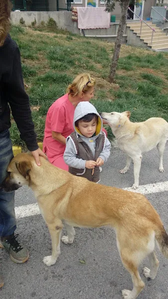 Beylikdüzü Hayvan Barınağı ve Rehabilitasyon Merkezi foto 2
