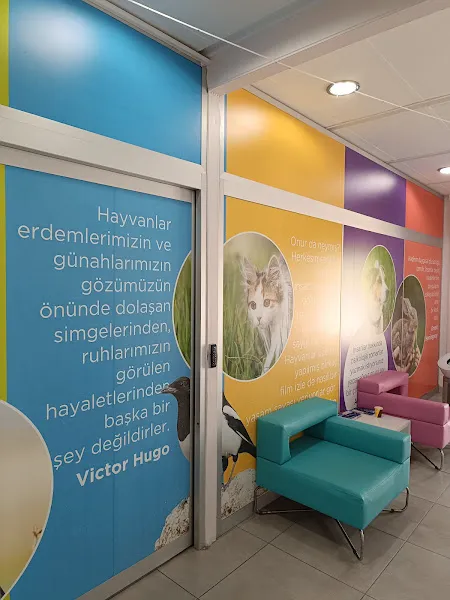 Küçükçekmece Belediyesi Sokak Hayvanları Tedavi ve Rehabilitasyon Merkezi foto 2
