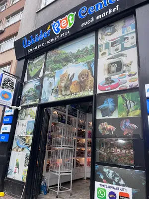 Üsküdar Pet Center