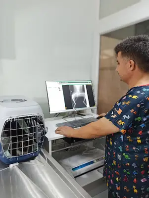 Akdeniz Veteriner Kliniği