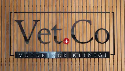 VetCo Veteriner Polikliniği
