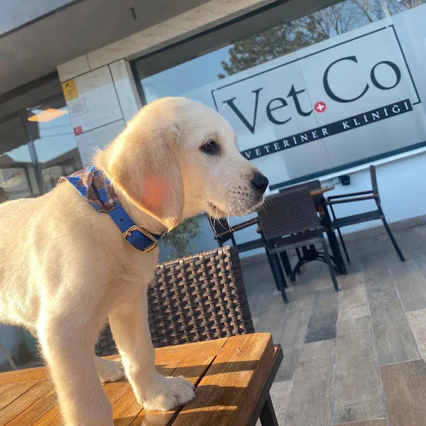 VetCo Veteriner Polikliniği foto 2