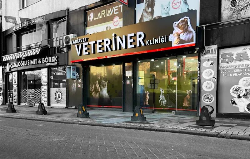 Bayrampaşa LariaVet Veteriner Kliniği foto 1