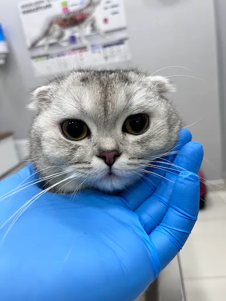 Smokin Pet ve Kuş Veteriner Kliniği foto 1