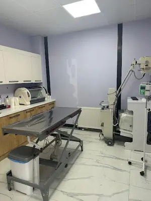 GizVet Veteriner Kliniği