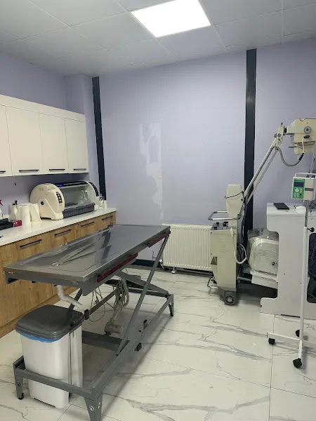 GizVet Veteriner Kliniği foto 1