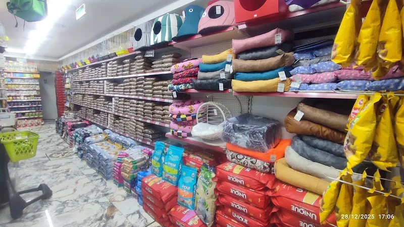 Altın Pati Pet Shop foto 2