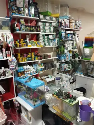 İNEGÖL ALO MAMA İnegöl Petshop Tiryaki petshop inegöl akvaryum