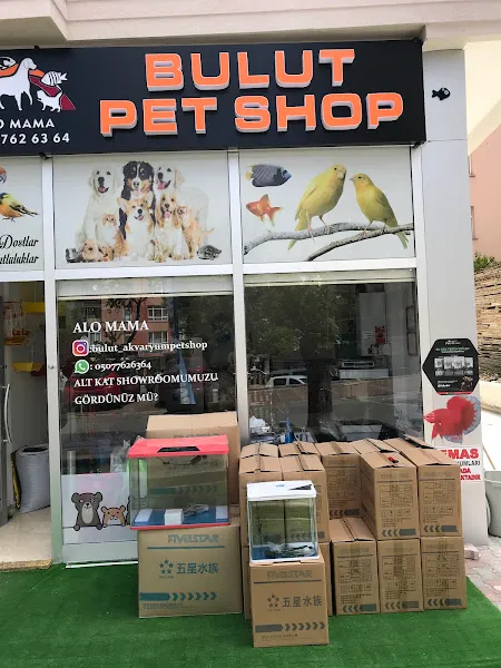 BULUT AKVARYUM PET SHOP foto 1