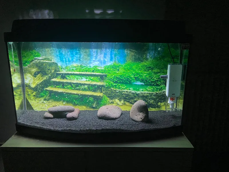 BULUT AKVARYUM PET SHOP foto 2