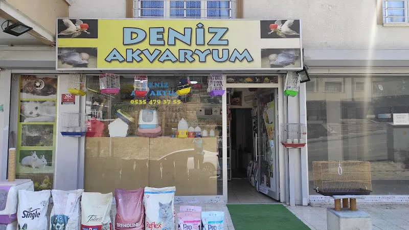 Deniz akvaryum mamak foto 1